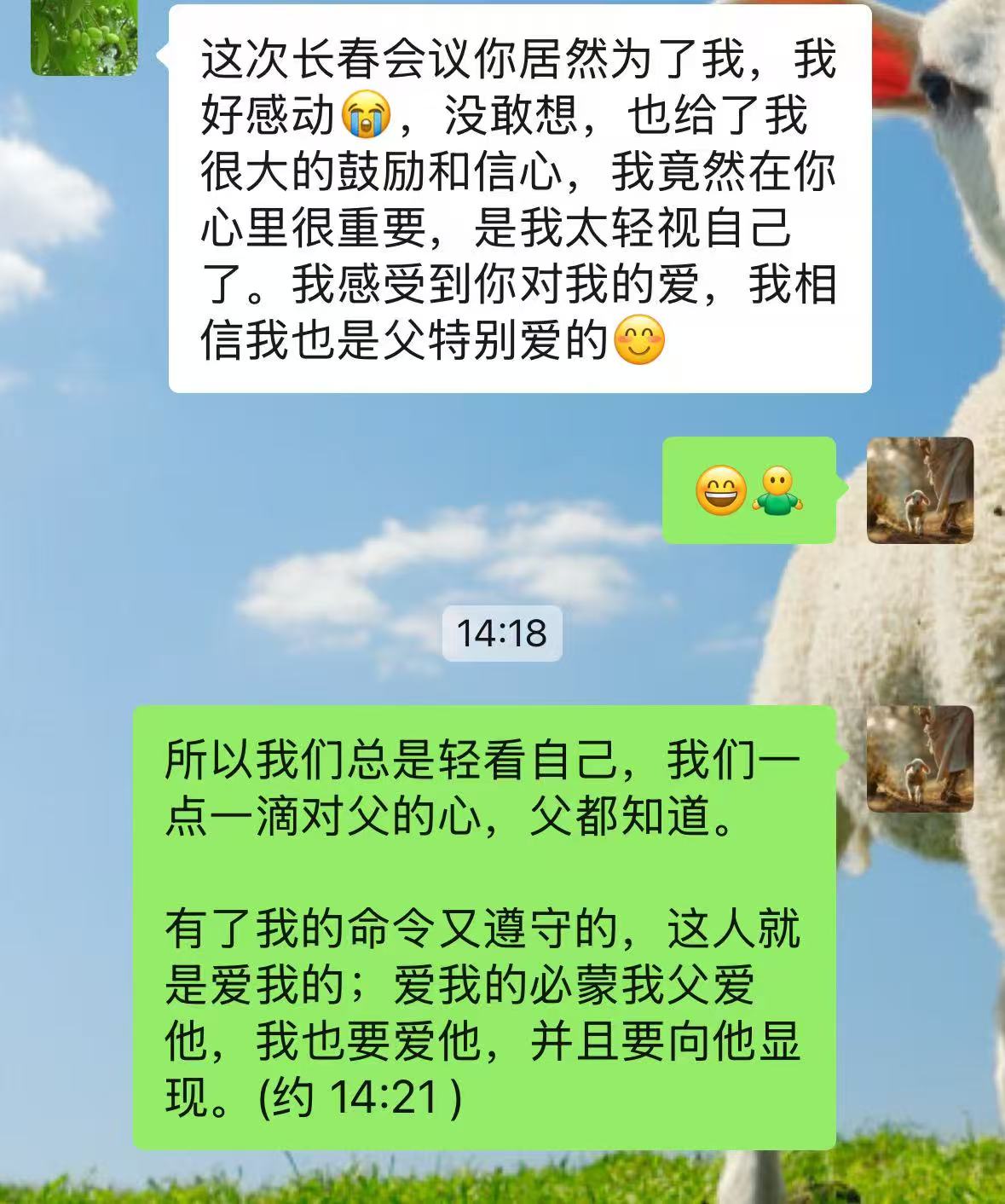 0f17b537547efa65c95ccd7c803a65b