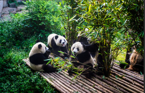 773b3b6f68cbb70ed2f292313da72c8b