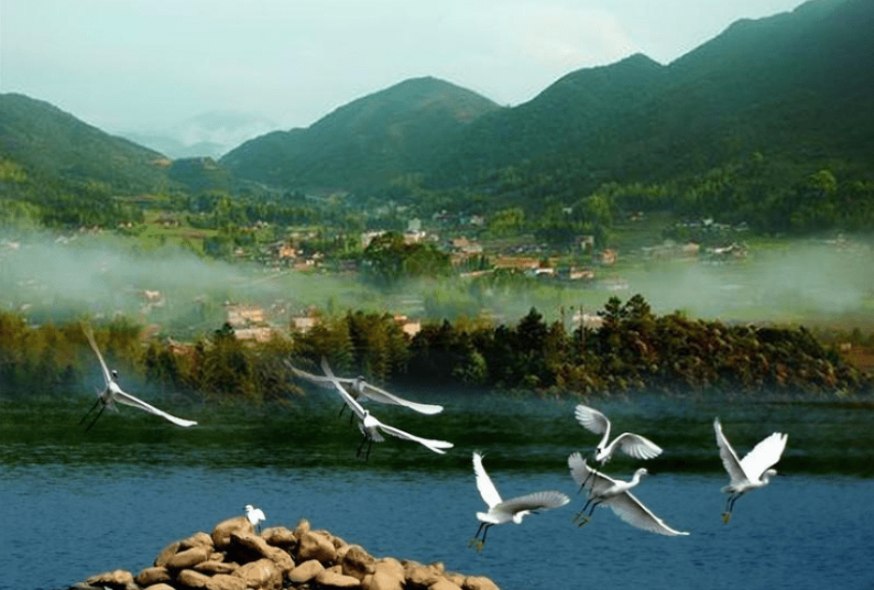 7ac8adcaefd6437a8b2d8b90905275f5